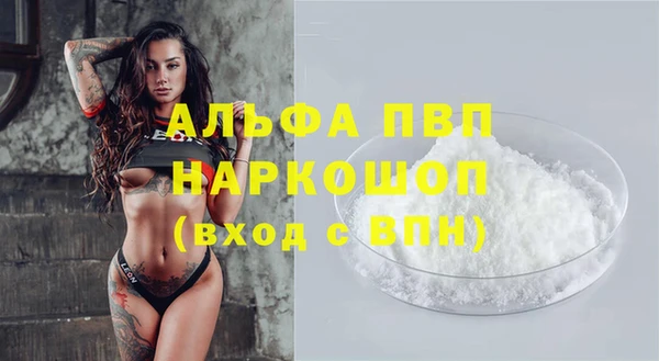 apvp Каменногорск
