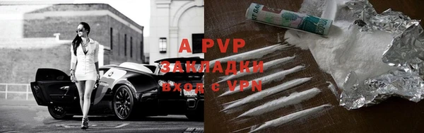 СК Алексин