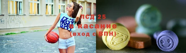 СК Алексин