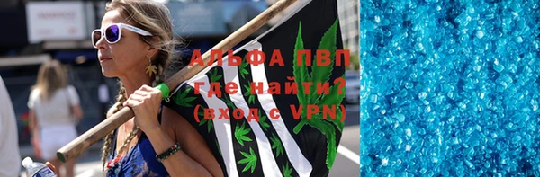 СК Алексин