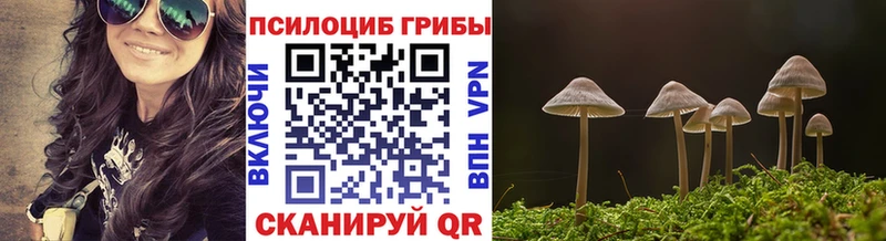 omg рабочий сайт  Александровск-Сахалинский  Псилоцибиновые грибы GOLDEN TEACHER  хочу  